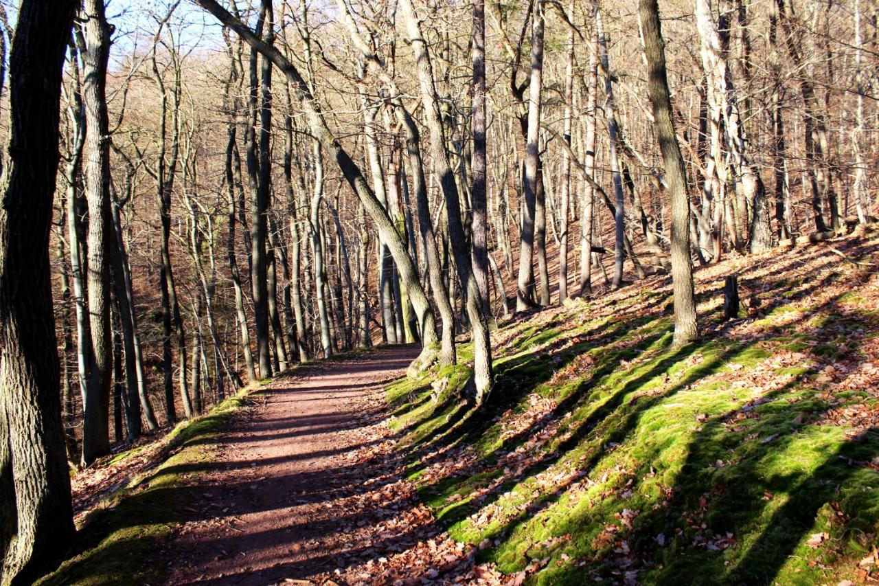 Burghof Kyffhaeuser Bad Frankenhausen Εξωτερικό φωτογραφία