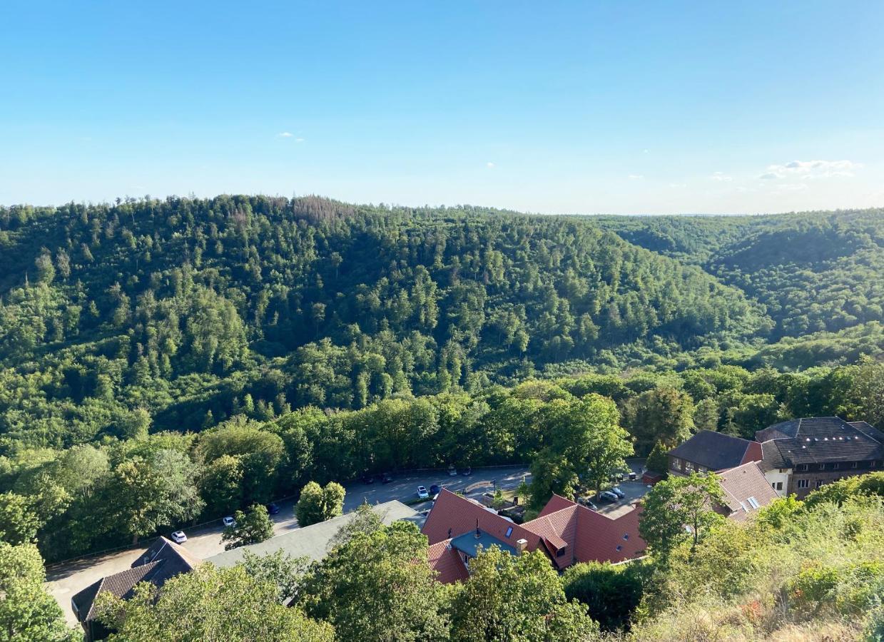 Burghof Kyffhaeuser Bad Frankenhausen Εξωτερικό φωτογραφία
