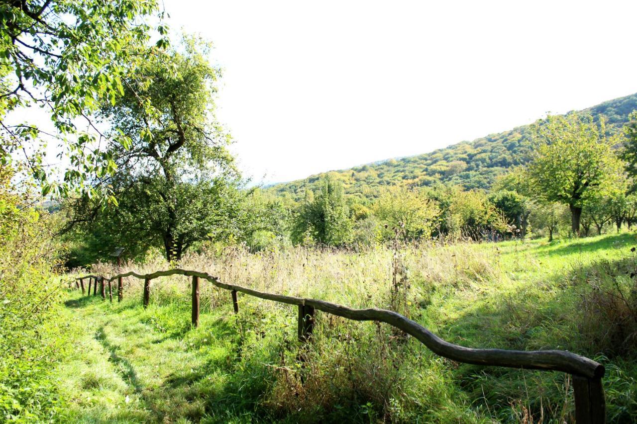 Burghof Kyffhaeuser Bad Frankenhausen Εξωτερικό φωτογραφία