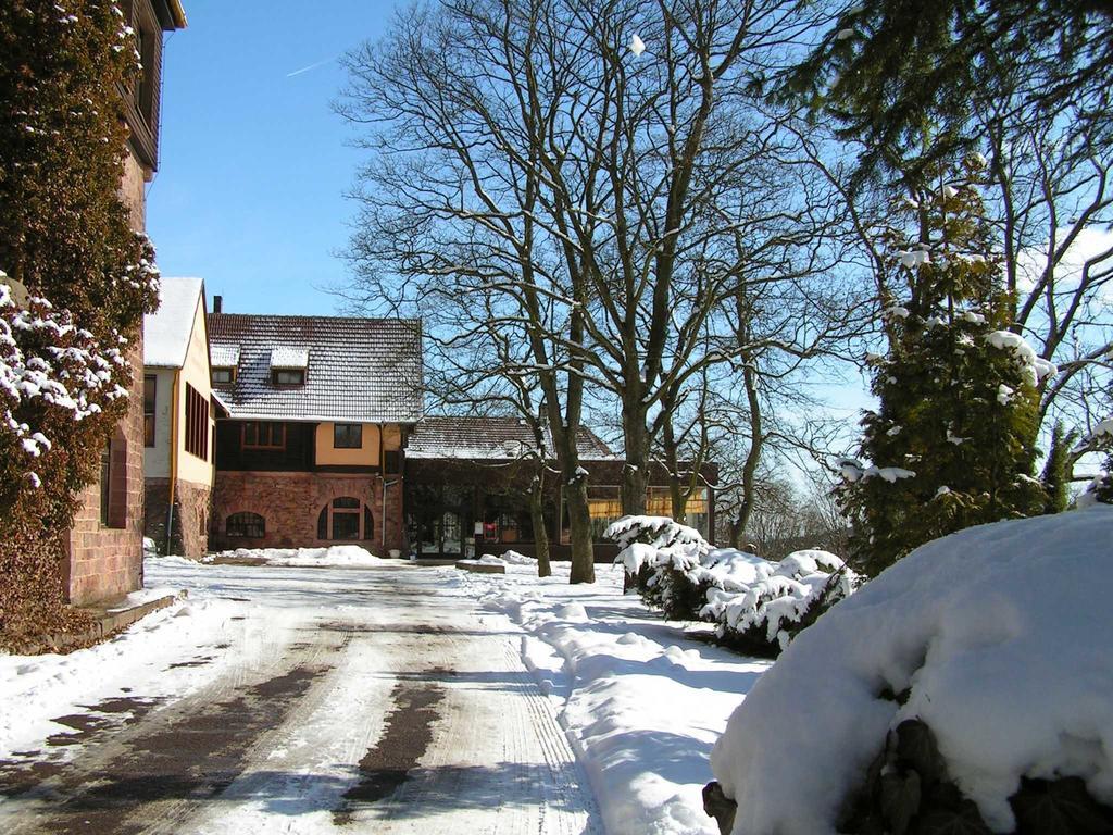 Burghof Kyffhaeuser Bad Frankenhausen Εξωτερικό φωτογραφία
